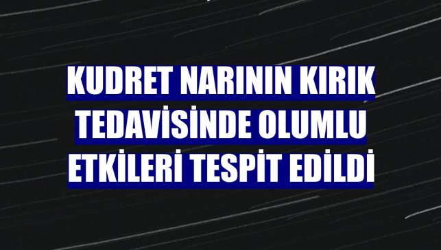 Kudret narının kırık tedavisinde olumlu etkileri tespit edildi