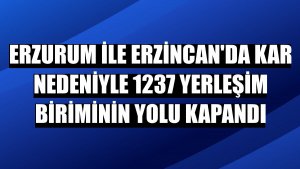 Erzurum ile Erzincan'da kar nedeniyle 1237 yerleşim biriminin yolu kapandı