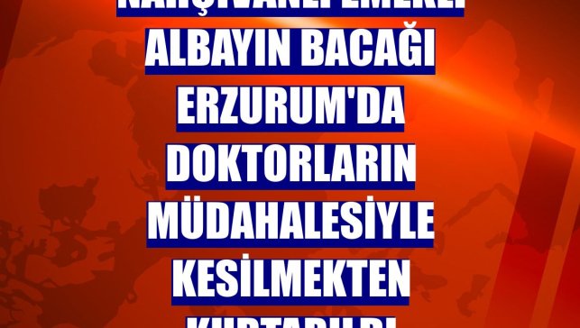 Nahçıvanlı emekli albayın bacağı Erzurum'da doktorların müdahalesiyle kesilmekten kurtarıldı