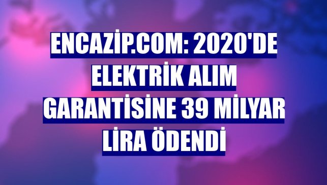 Encazip.com: 2020'de elektrik alım garantisine 39 milyar lira ödendi