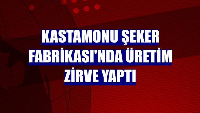 Kastamonu Şeker Fabrikası'nda üretim zirve yaptı