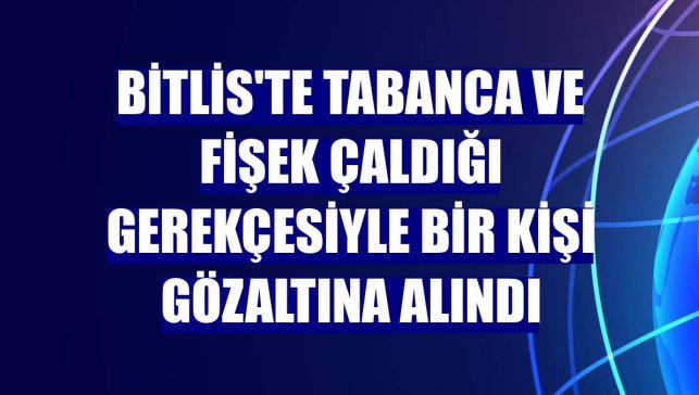 Bitlis'te tabanca ve fişek çaldığı gerekçesiyle bir kişi gözaltına alındı