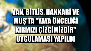 Van, Bitlis, Hakkari ve Muş'ta 'Yaya Önceliği Kırmızı Çizgimizdir' uygulaması yapıldı