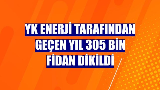 YK Enerji tarafından geçen yıl 305 bin fidan dikildi
