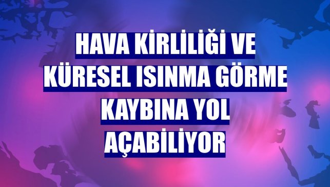 Hava kirliliği ve küresel ısınma görme kaybına yol açabiliyor