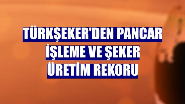Türkşeker'den pancar işleme ve şeker üretim rekoru