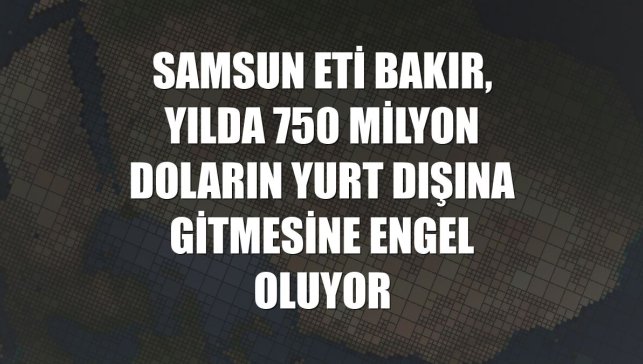 Samsun Eti Bakır, yılda 750 milyon doların yurt dışına gitmesine engel oluyor