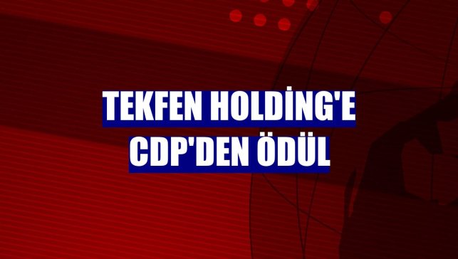 Tekfen Holding'e CDP'den ödül