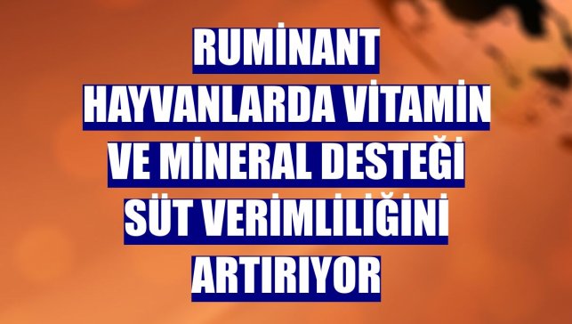 Ruminant hayvanlarda vitamin ve mineral desteği süt verimliliğini artırıyor