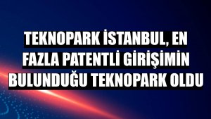 Teknopark İstanbul, en fazla patentli girişimin bulunduğu teknopark oldu