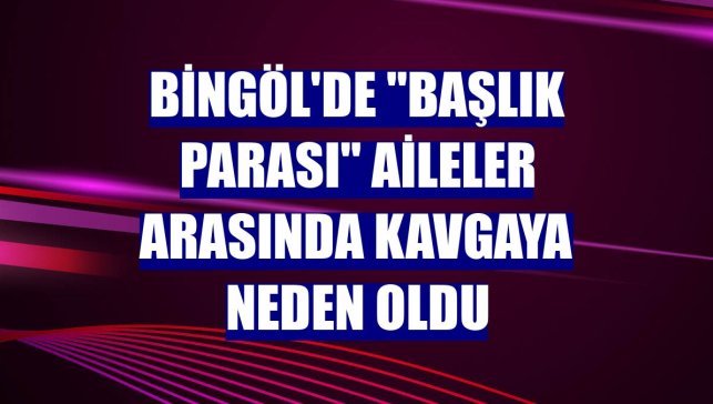 Bingöl'de "başlık parası" aileler arasında kavgaya neden oldu