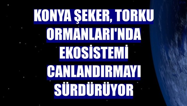 Konya Şeker, Torku Ormanları'nda ekosistemi canlandırmayı sürdürüyor