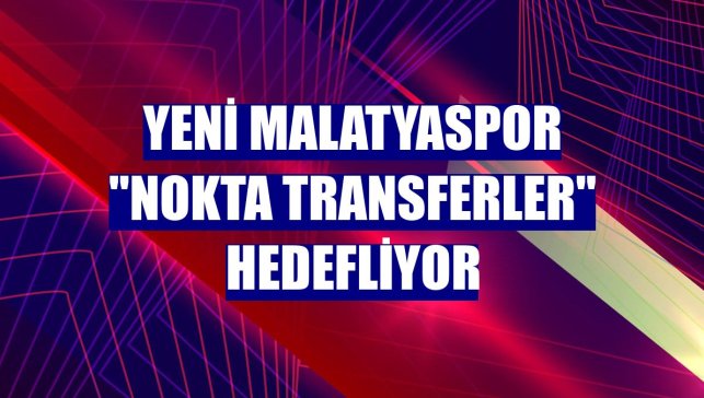 Yeni Malatyaspor "nokta transferler" hedefliyor