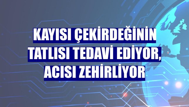 Kayısı çekirdeğinin tatlısı tedavi ediyor, acısı zehirliyor