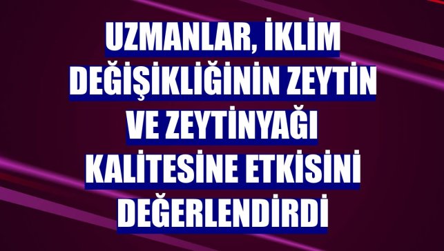 Uzmanlar, iklim değişikliğinin zeytin ve zeytinyağı kalitesine etkisini değerlendirdi