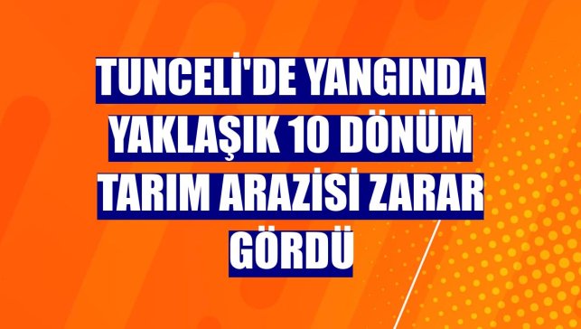 Tunceli'de yangında yaklaşık 10 dönüm tarım arazisi zarar gördü