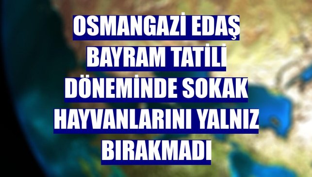 Osmangazi EDAŞ bayram tatili döneminde sokak hayvanlarını yalnız bırakmadı