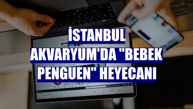 İstanbul Akvaryum'da "bebek penguen" heyecanı