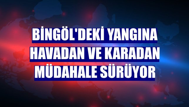 Bingöl'deki yangına havadan ve karadan müdahale sürüyor
