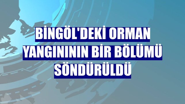 Bingöl'deki orman yangınının bir bölümü söndürüldü