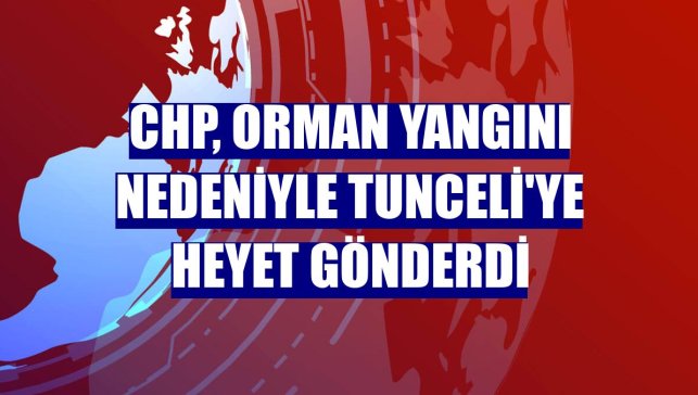 CHP, orman yangını nedeniyle Tunceli'ye heyet gönderdi