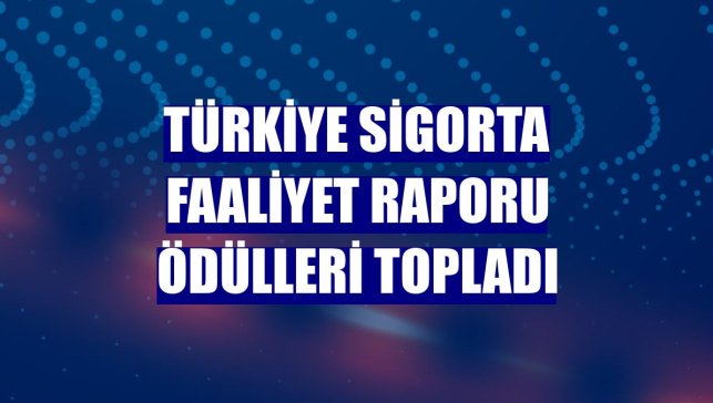 Türkiye Sigorta Faaliyet Raporu ödülleri topladı
