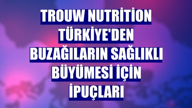 Trouw Nutrition Türkiye'den buzağıların sağlıklı büyümesi için ipuçları