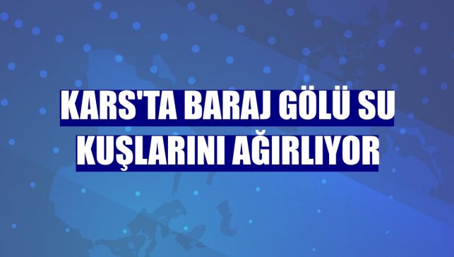 Kars'ta baraj gölü su kuşlarını ağırlıyor