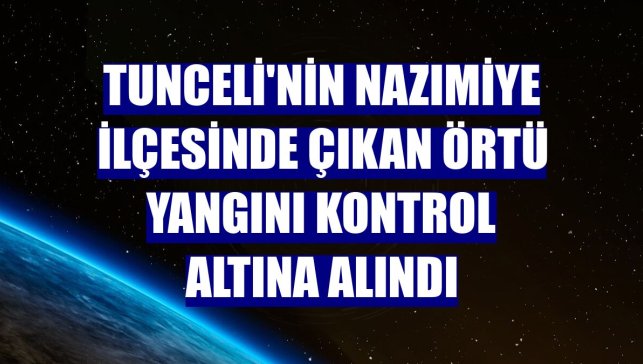 Tunceli'nin Nazımiye ilçesinde çıkan örtü yangını kontrol altına alındı