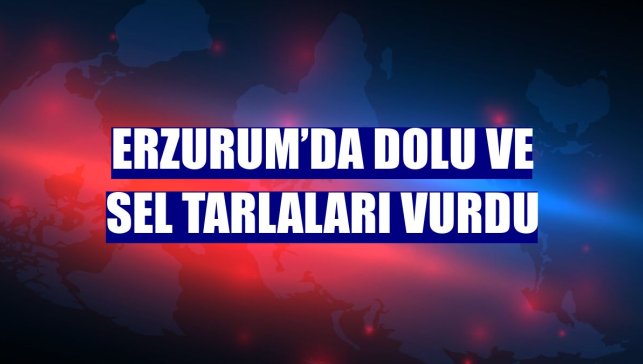 Erzurum’da dolu ve sel tarlaları vurdu
