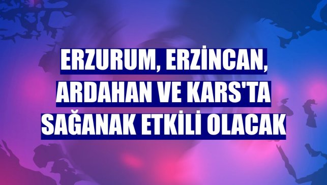 Erzurum, Erzincan, Ardahan ve Kars'ta sağanak etkili olacak