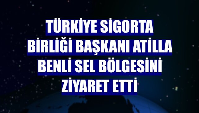 Türkiye Sigorta Birliği Başkanı Atilla Benli sel bölgesini ziyaret etti