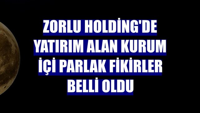 Zorlu Holding'de yatırım alan kurum içi parlak fikirler belli oldu