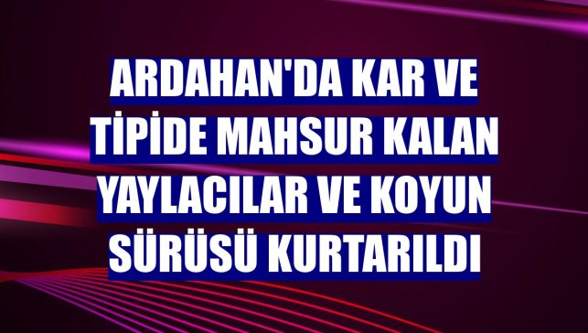 Ardahan'da kar ve tipide mahsur kalan yaylacılar ve koyun sürüsü kurtarıldı