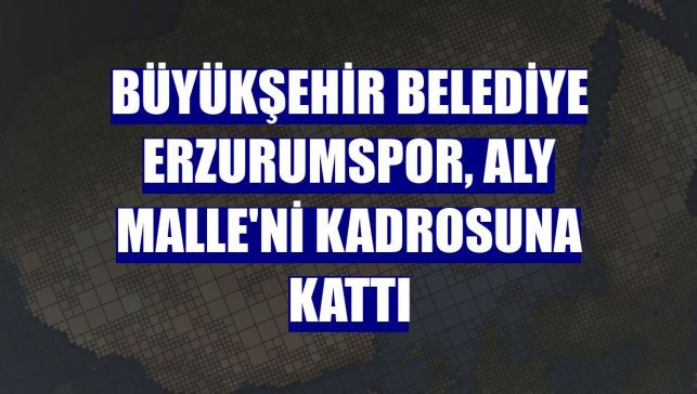 Büyükşehir Belediye Erzurumspor, Aly Malle'ni kadrosuna kattı