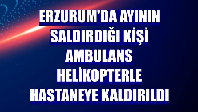 Erzurum'da ayının saldırdığı kişi ambulans helikopterle hastaneye kaldırıldı