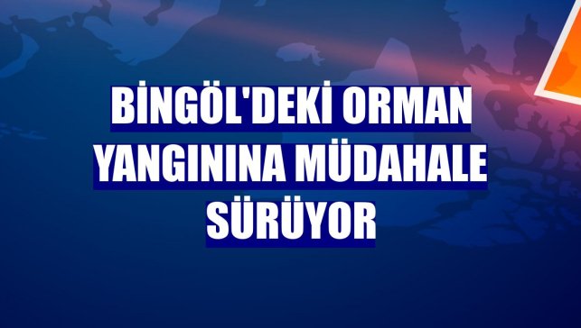 Bingöl'deki orman yangınına müdahale sürüyor