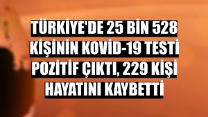 Türkiye'de 25 bin 528 kişinin Kovid-19 testi pozitif çıktı, 229 kişi hayatını kaybetti