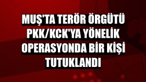 Muş'ta terör örgütü PKK/KCK'ya yönelik operasyonda bir kişi tutuklandı