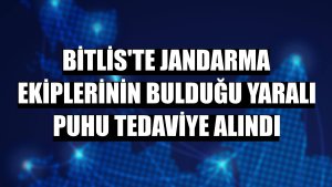 Bitlis'te jandarma ekiplerinin bulduğu yaralı puhu tedaviye alındı