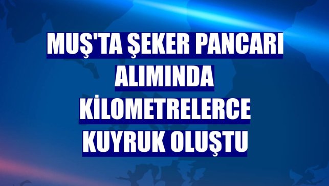 Muş'ta şeker pancarı alımında kilometrelerce kuyruk oluştu