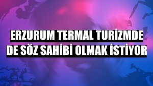 Erzurum termal turizmde de söz sahibi olmak istiyor