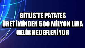 Bitlis'te patates üretiminden 500 milyon lira gelir hedefleniyor
