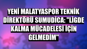 Yeni Malatyaspor Teknik Direktörü Sumudica: 'Ligde kalma mücadelesi için gelmedim'