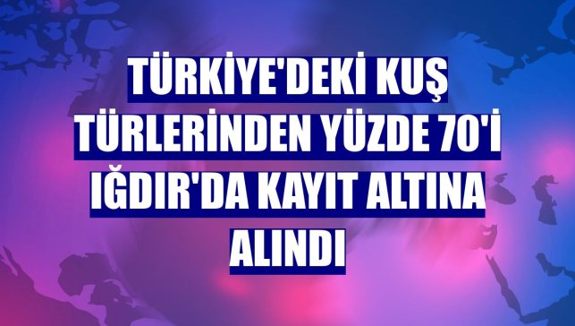 Türkiye'deki kuş türlerinden yüzde 70'i Iğdır'da kayıt altına alındı
