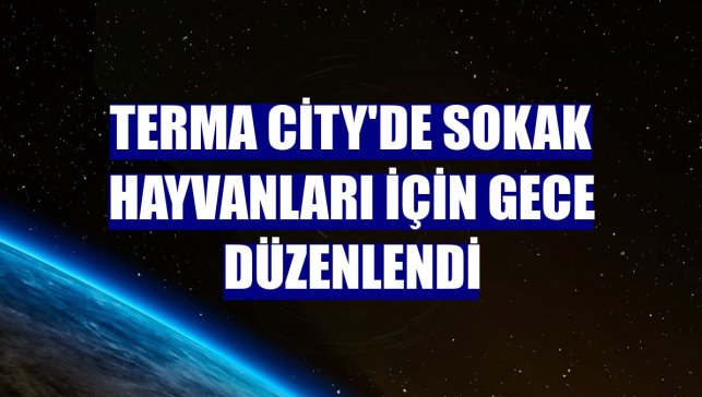 Terma City'de sokak hayvanları için gece düzenlendi