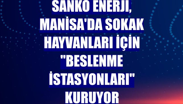 Sanko Enerji, Manisa'da sokak hayvanları için "beslenme istasyonları" kuruyor