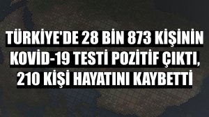 Türkiye'de 28 bin 873 kişinin Kovid-19 testi pozitif çıktı, 210 kişi hayatını kaybetti