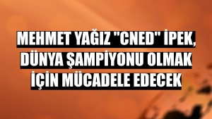 Mehmet Yağız 'cNed' İpek, dünya şampiyonu olmak için mücadele edecek