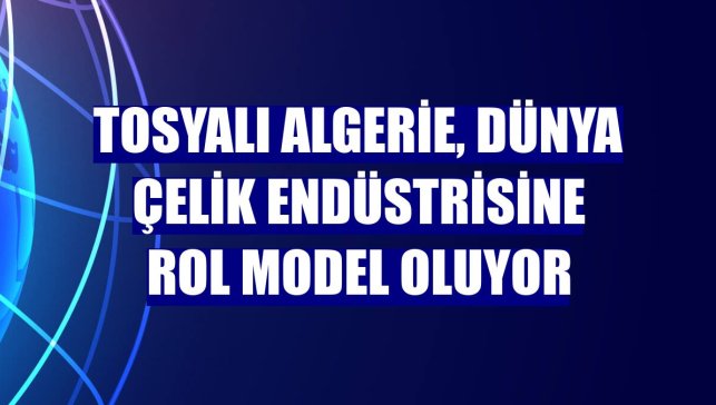 Tosyalı Algerie, dünya çelik endüstrisine rol model oluyor
